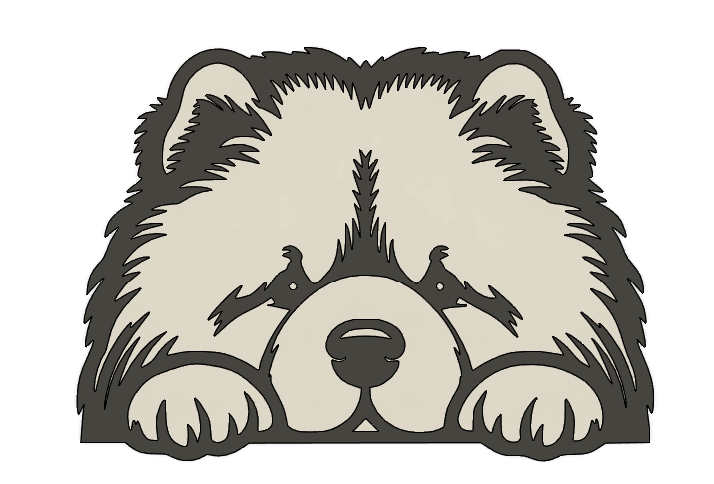 Chien - Chow Chow