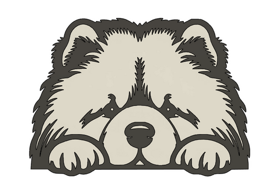 Chien - Chow Chow